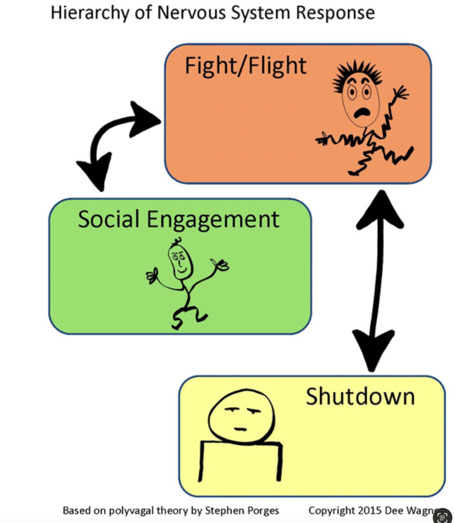 Somatic Therapy in Santa Cruz California